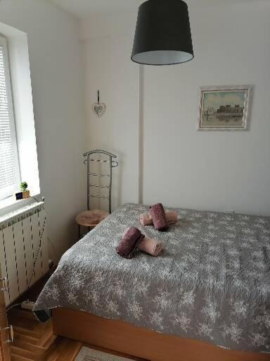 Anka Apartman 스메데레보 외부 사진